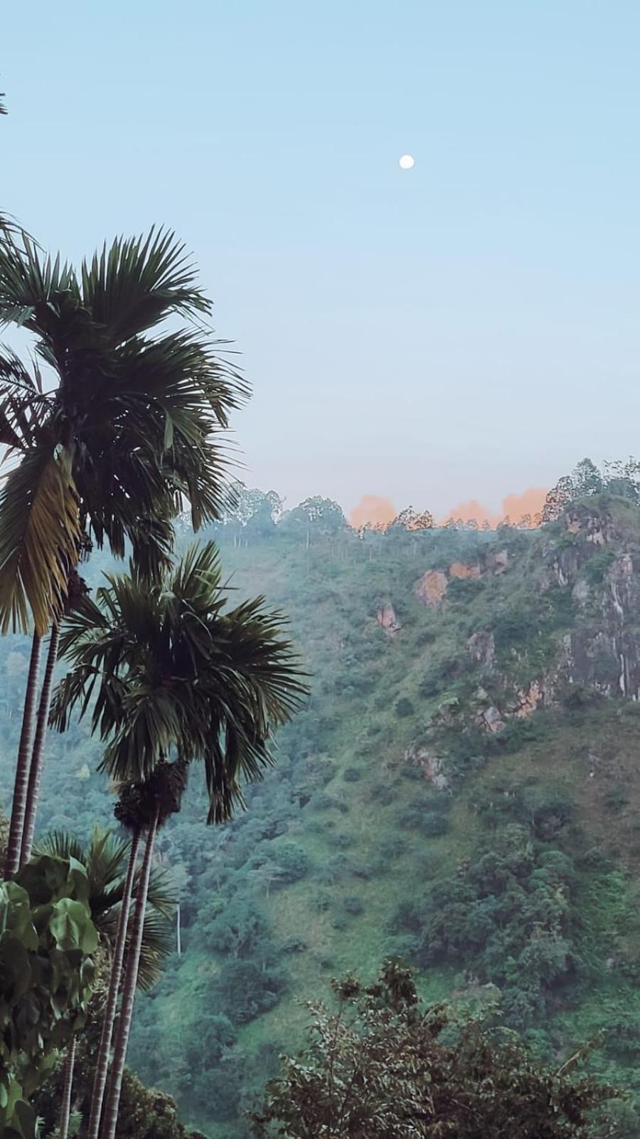 Nature Green Hotels On Rock Home Ella Esterno foto