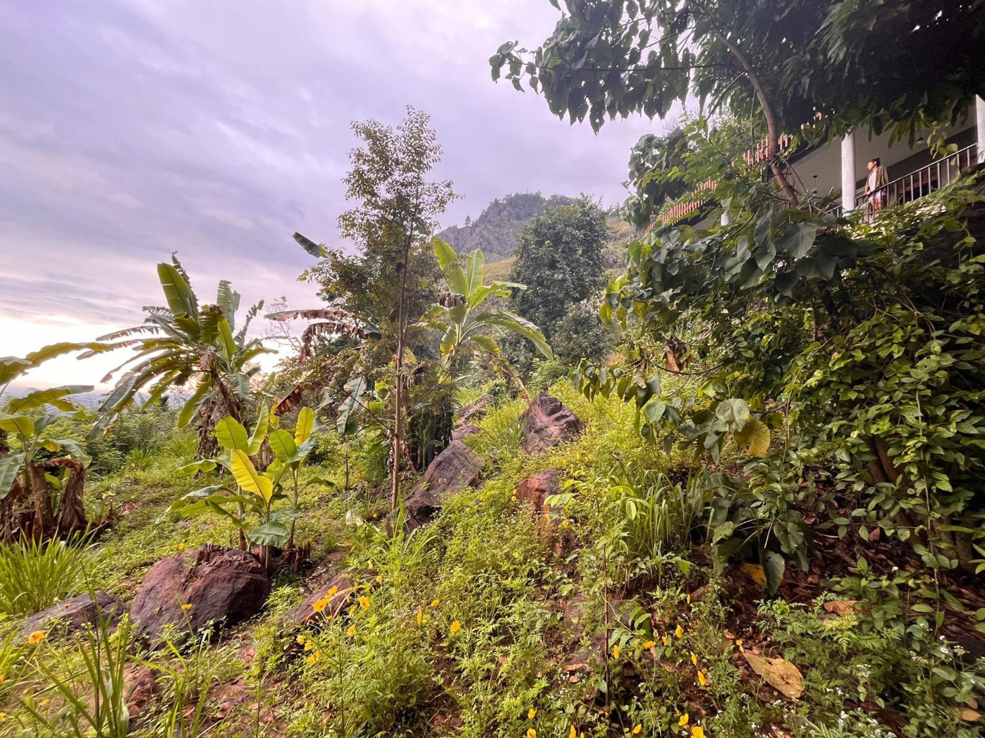 Nature Green Hotels On Rock Home Ella Esterno foto