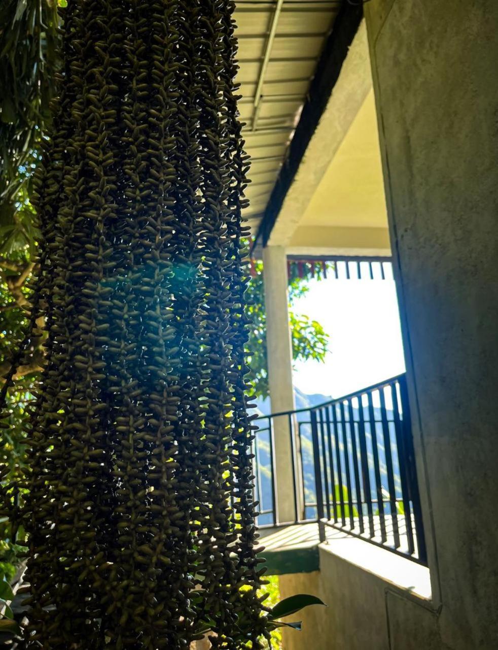 Nature Green Hotels On Rock Home Ella Esterno foto