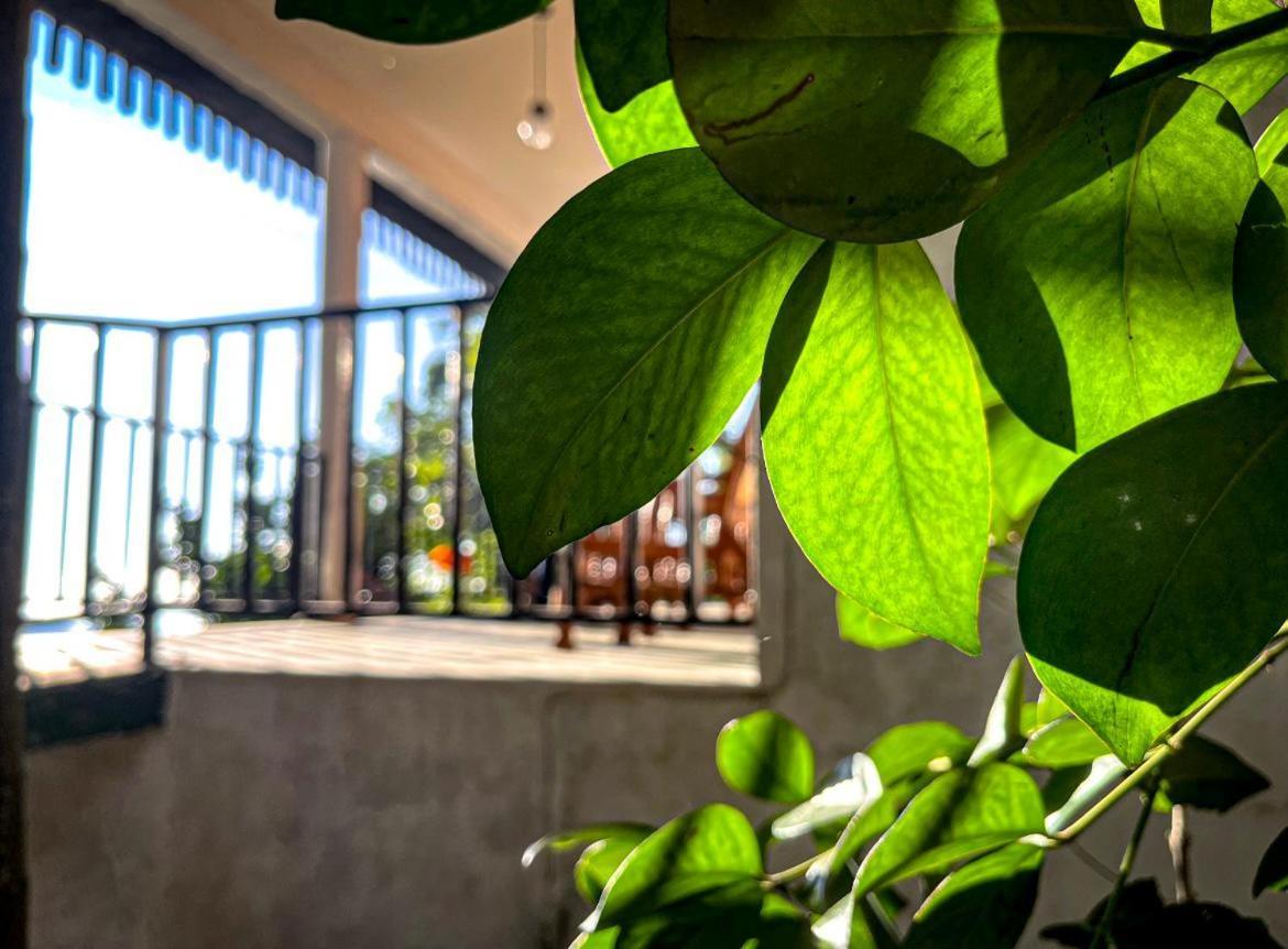 Nature Green Hotels On Rock Home Ella Esterno foto
