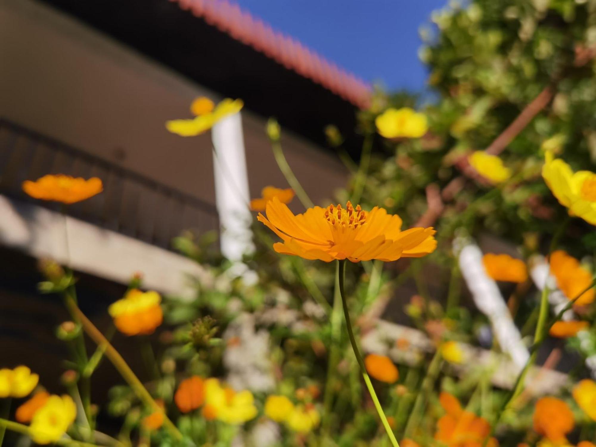 Nature Green Hotels On Rock Home Ella Esterno foto