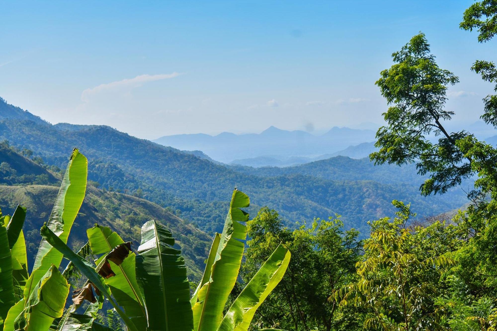 Nature Green Hotels On Rock Home Ella Esterno foto