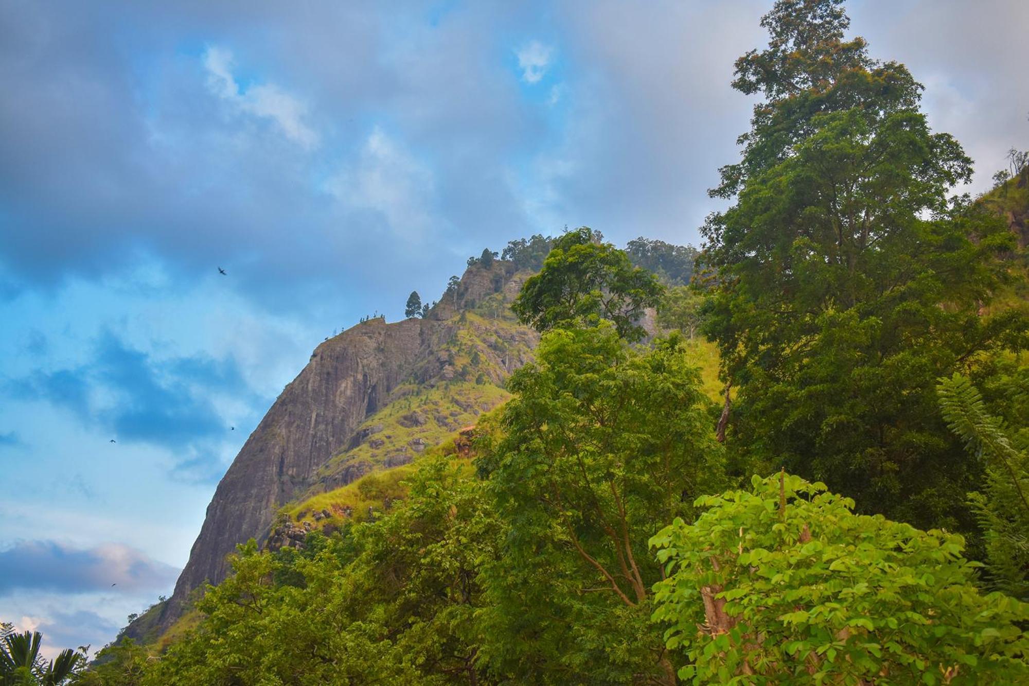 Nature Green Hotels On Rock Home Ella Esterno foto